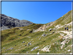 foto Rifugio Alpe di Tires